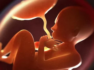 انواع چسبندگی جفت