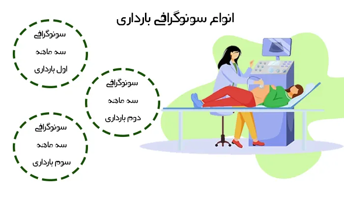 انواع سونوگرافی بارداری