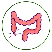 سونوگرافی مثانه