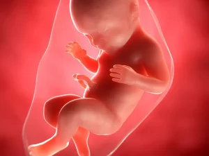 آبا امکان بارداری بعد از حاملگی پوچ وجود دارد؟