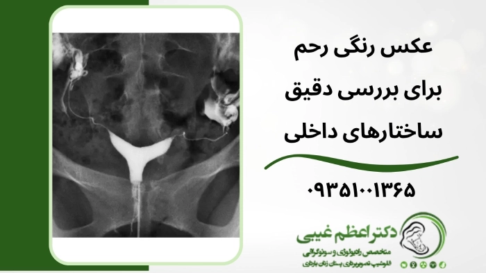 عکس رنگی رحم