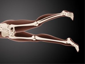 اسکن-و-گرام