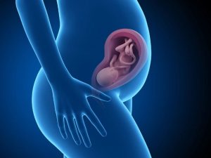 جنین دختر و پسر در سونوگرافی