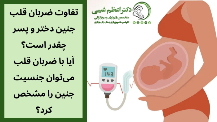 تفاوت ضربان قلب جنین دختر و پسر